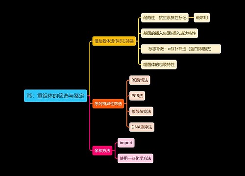 医学知识筛：重组体的筛选与鉴定思维导图