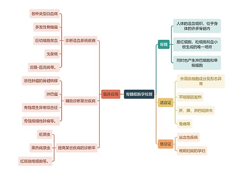 医学知识骨髓细胞学检测思维导图