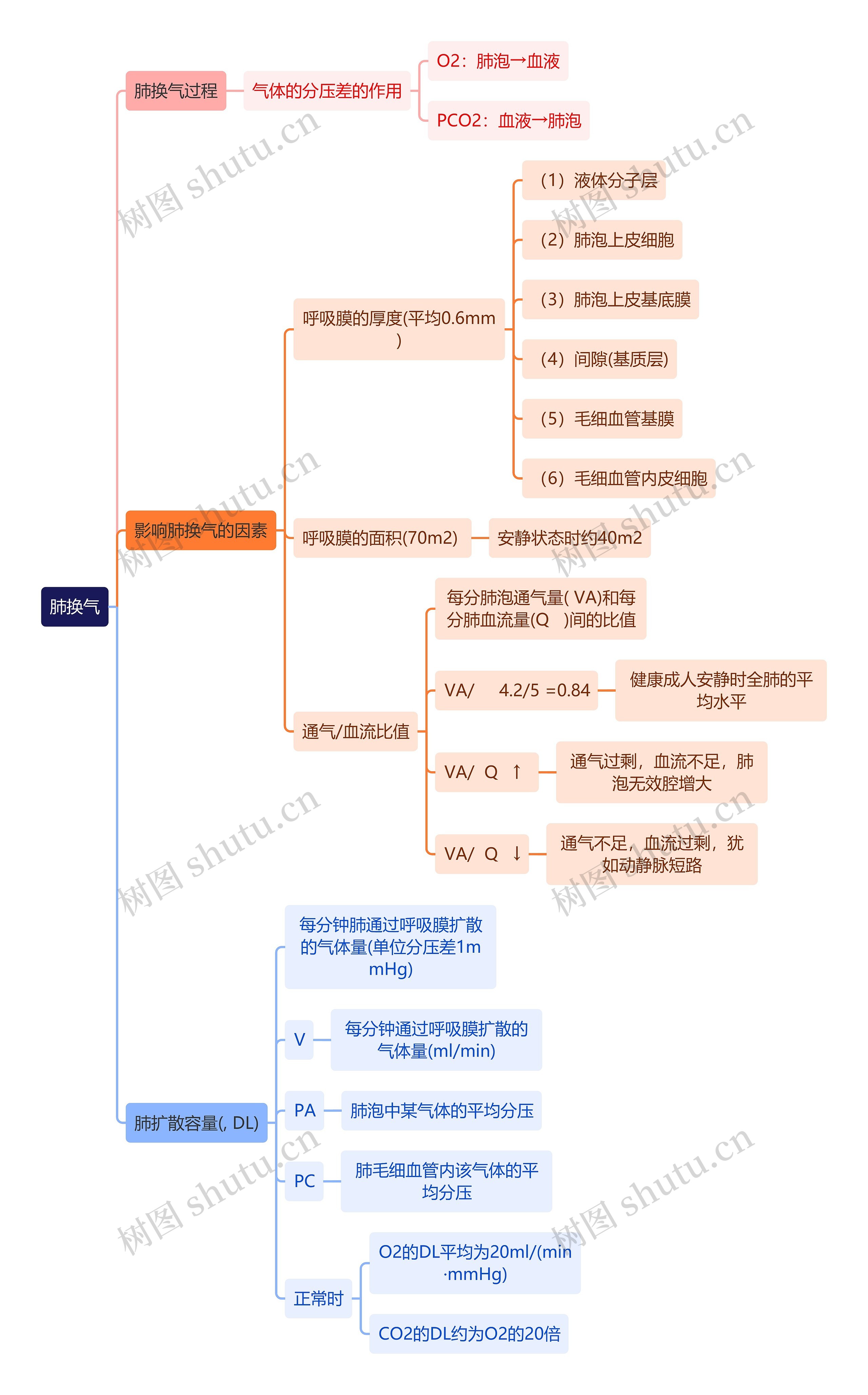 医学知识肺换气思维导图