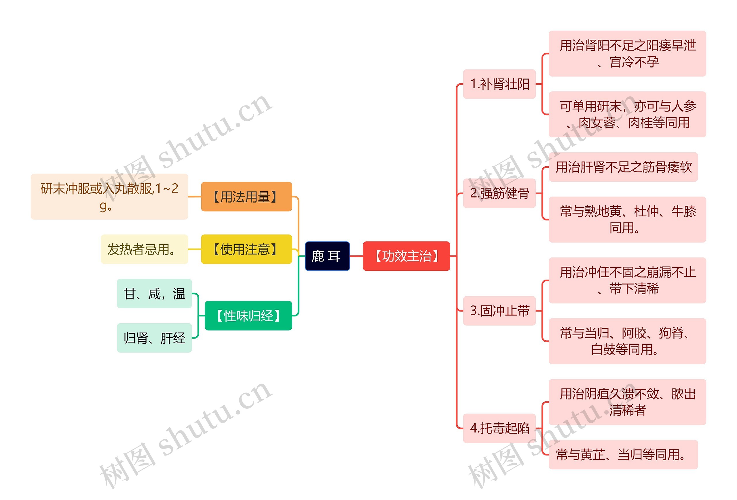 中医知识鹿 耳 思维导图