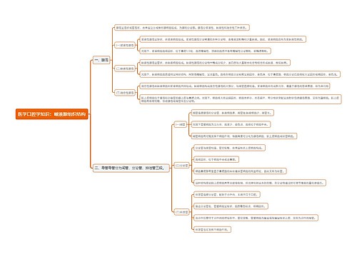 医学口腔学知识：唾液腺组织结构思维导图