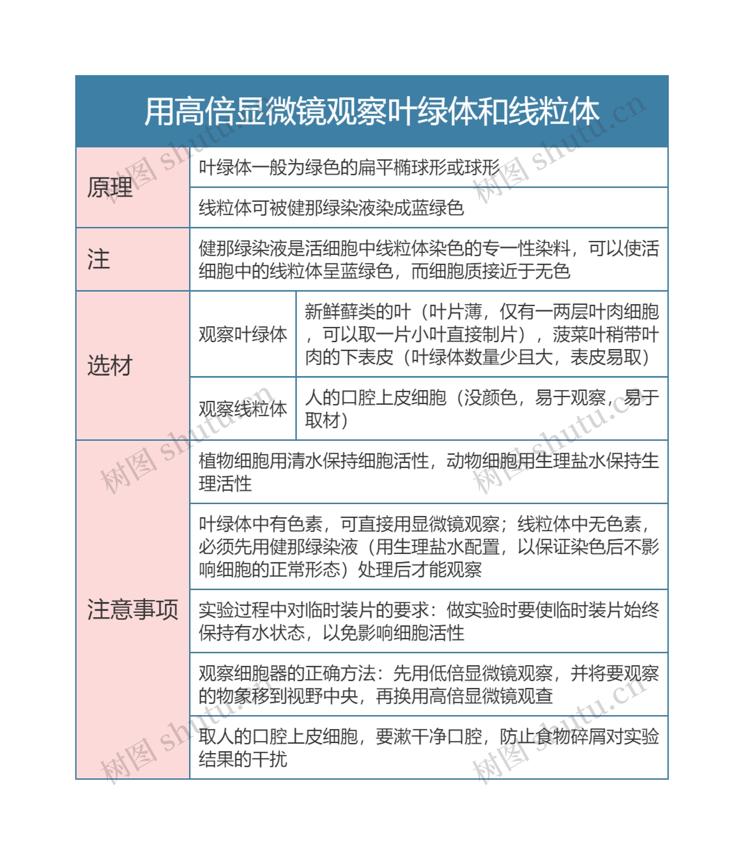 高中生物必修一用高倍显微镜观察叶绿体和线粒体思维导图