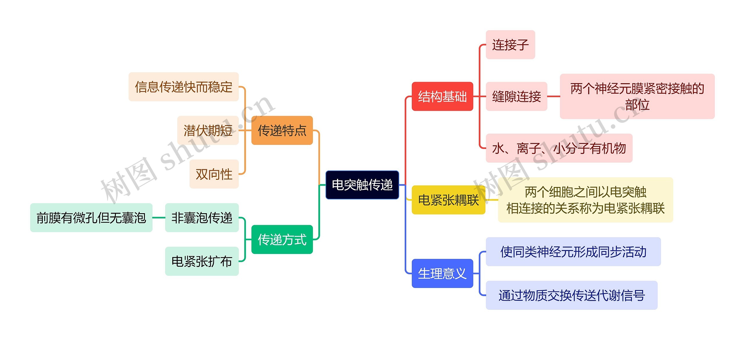 医学知识电突触传递思维导图