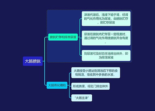 中医知识大肠膀胱思维导图