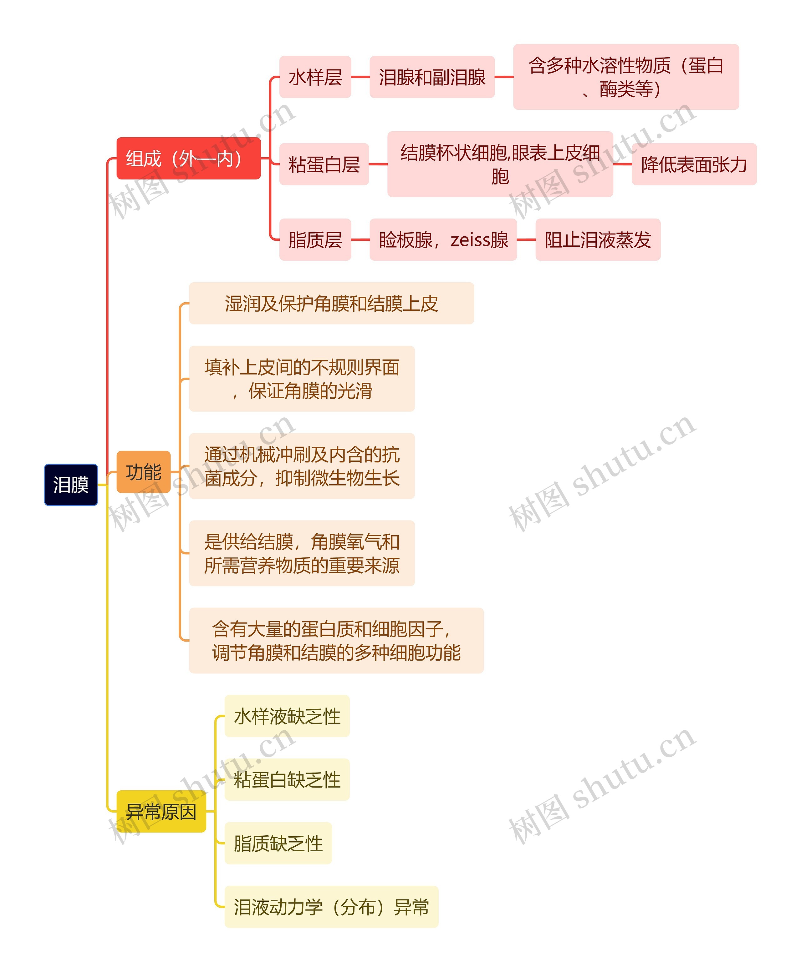 医学知识泪膜思维导图