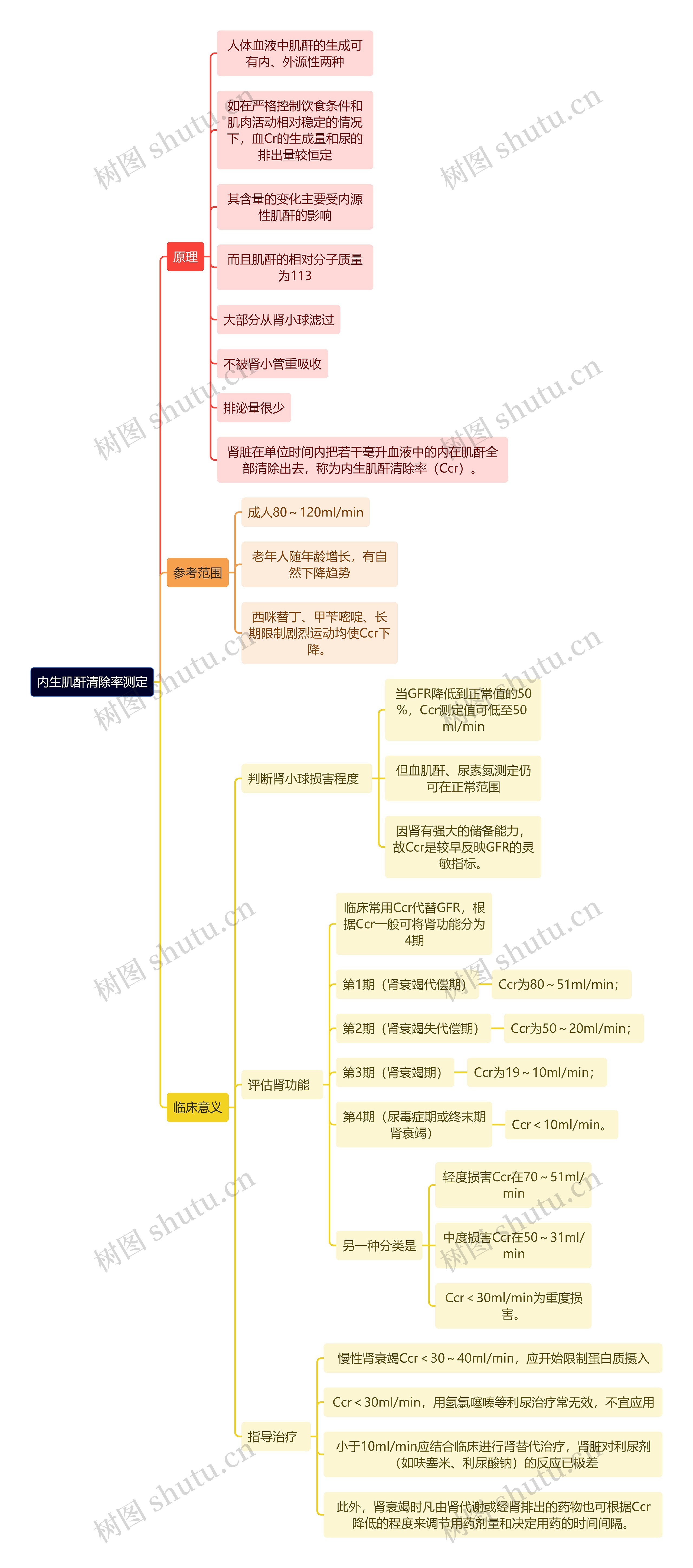 医学知识内生肌酐清除率测定思维导图