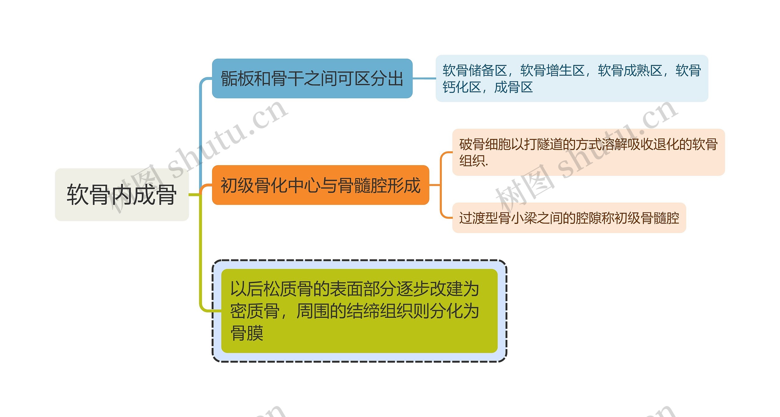 医学知识软骨内成骨思维导图