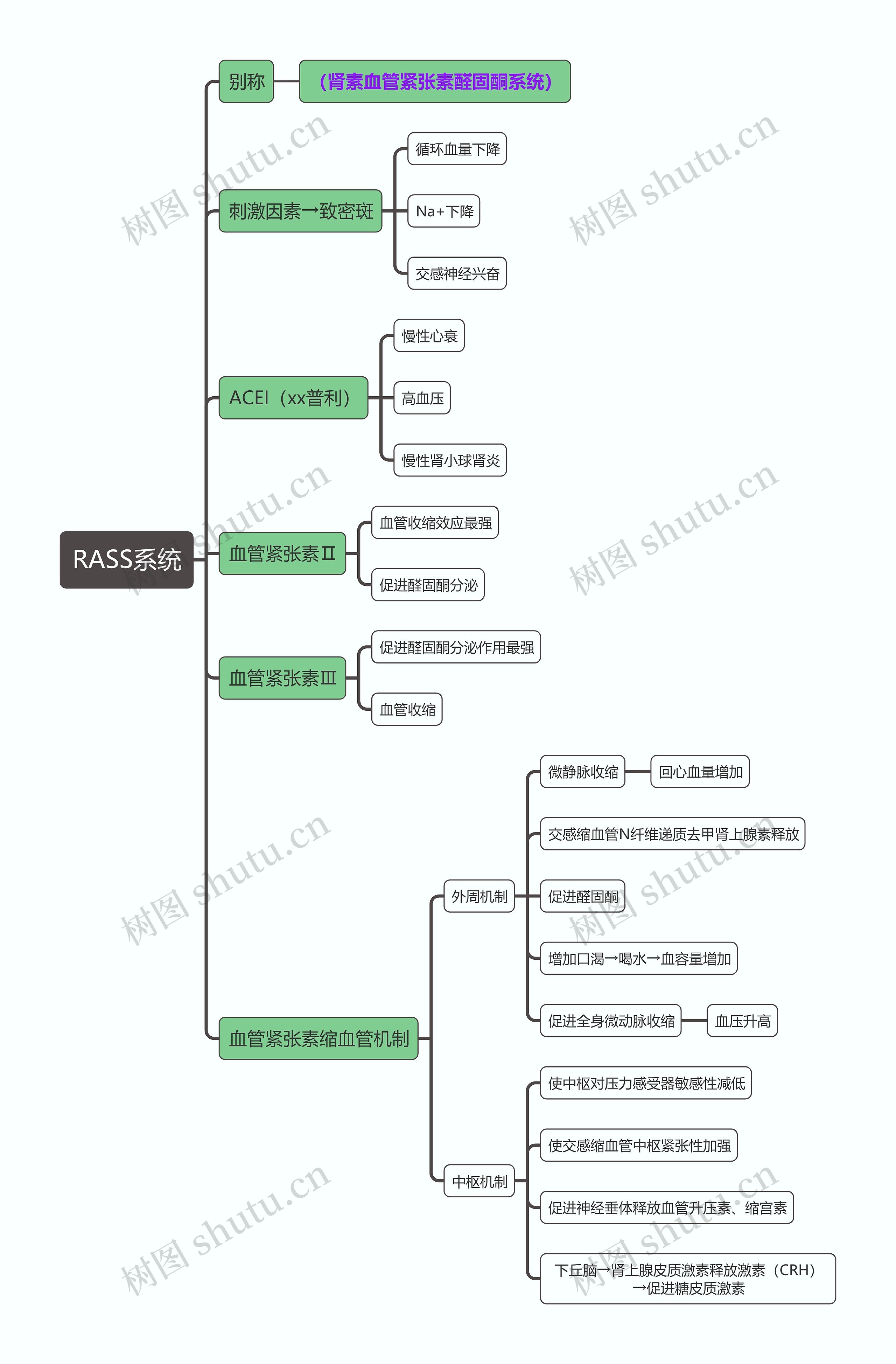 医学知识RASS系统思维导图