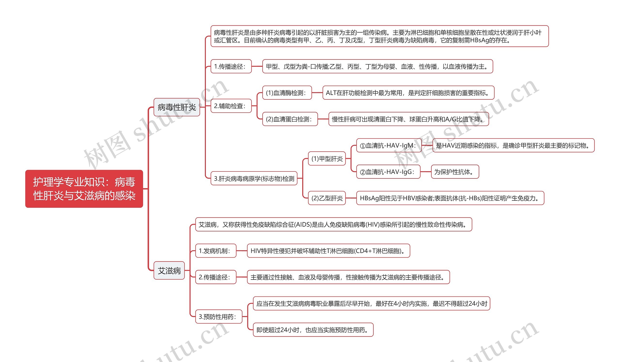 护理学专业知识：病毒性肝炎与艾滋病的感染思维导图