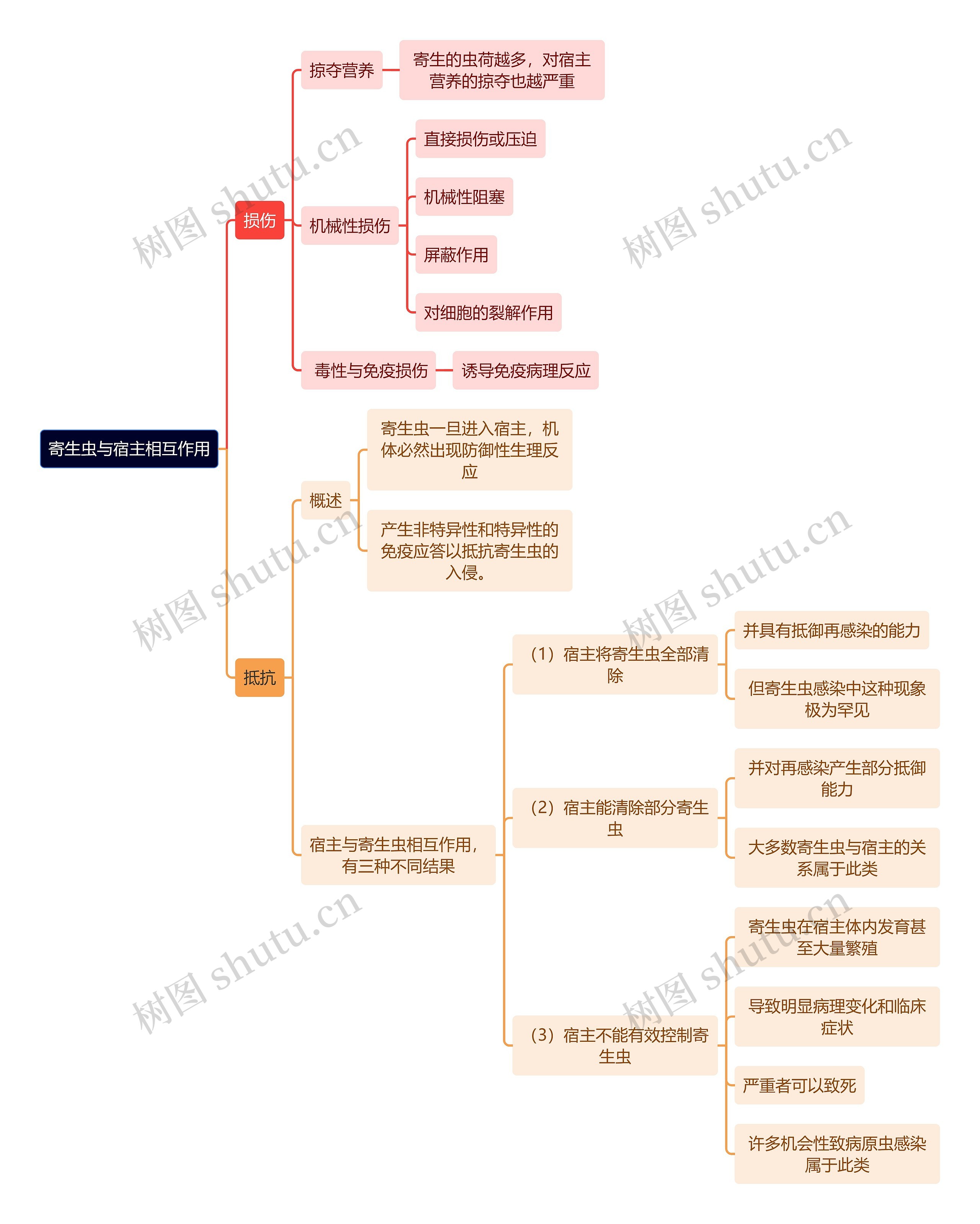 医学知识寄生虫与宿主相互作用思维导图