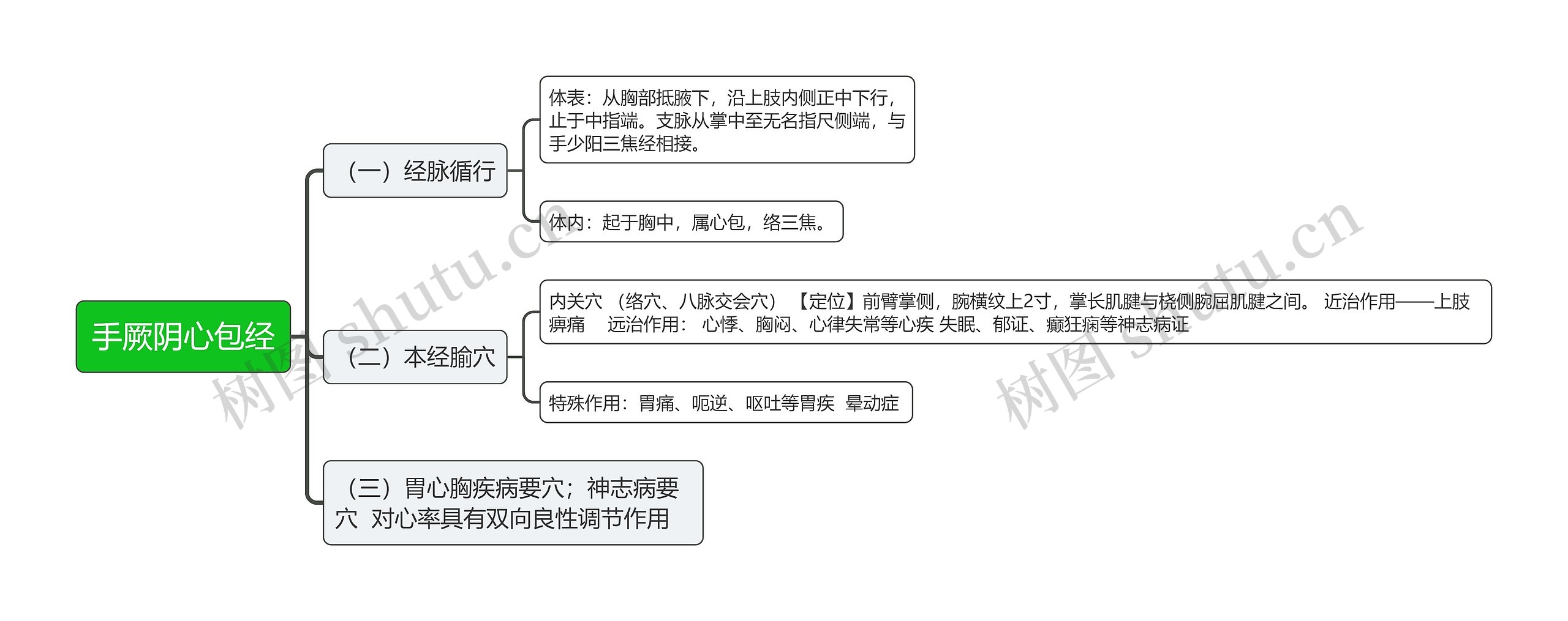 手厥阴心包经思维导图