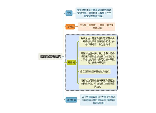 医学知识蛋白质三级结构思维导图