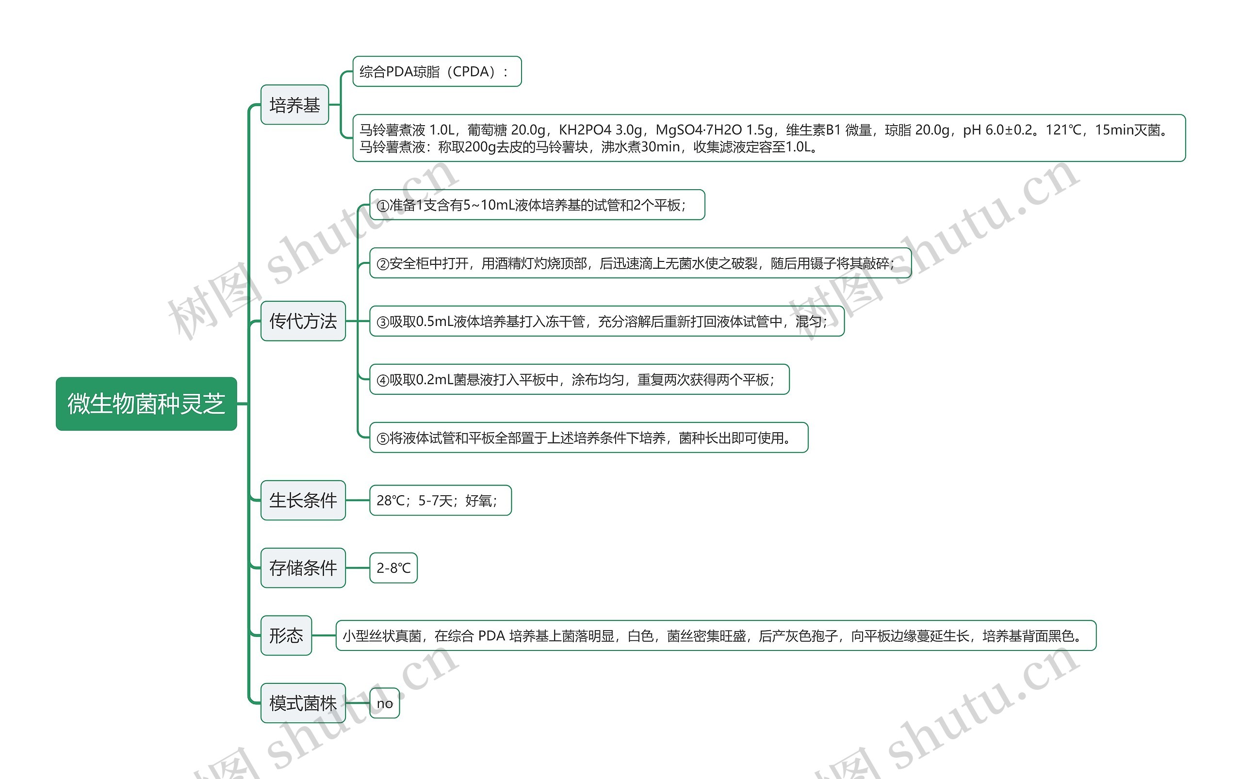 微生物菌种灵芝思维导图