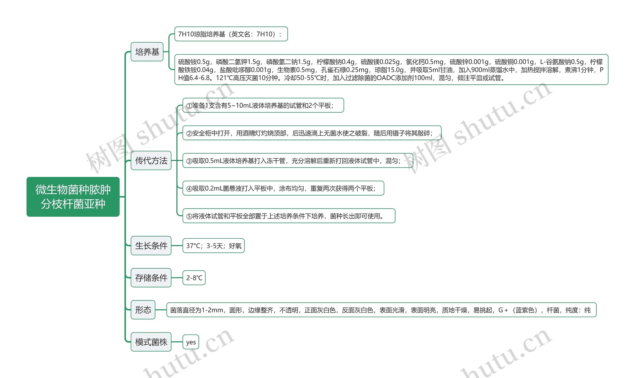 微生物菌种脓肿分枝杆菌亚种思维导图