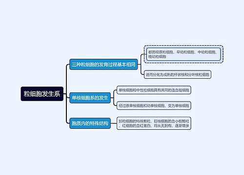 医学知识粒细胞发生系思维导图