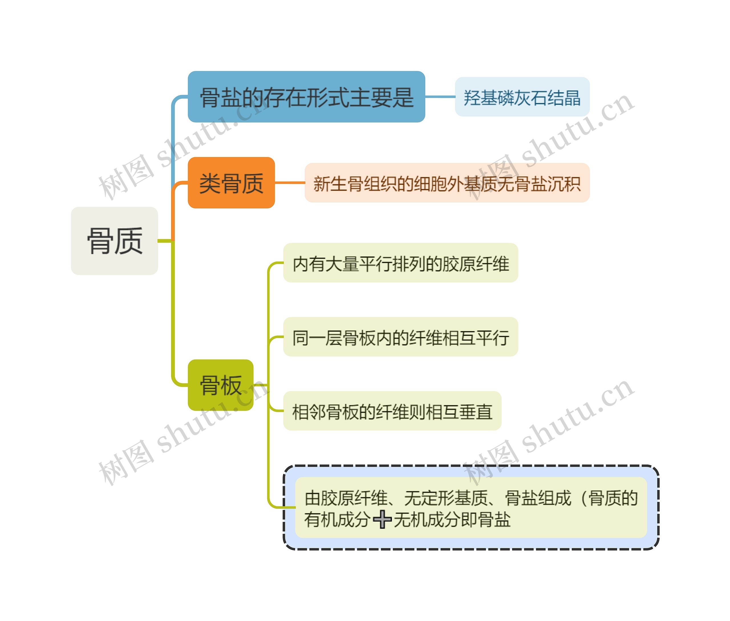 医学知识骨质思维导图