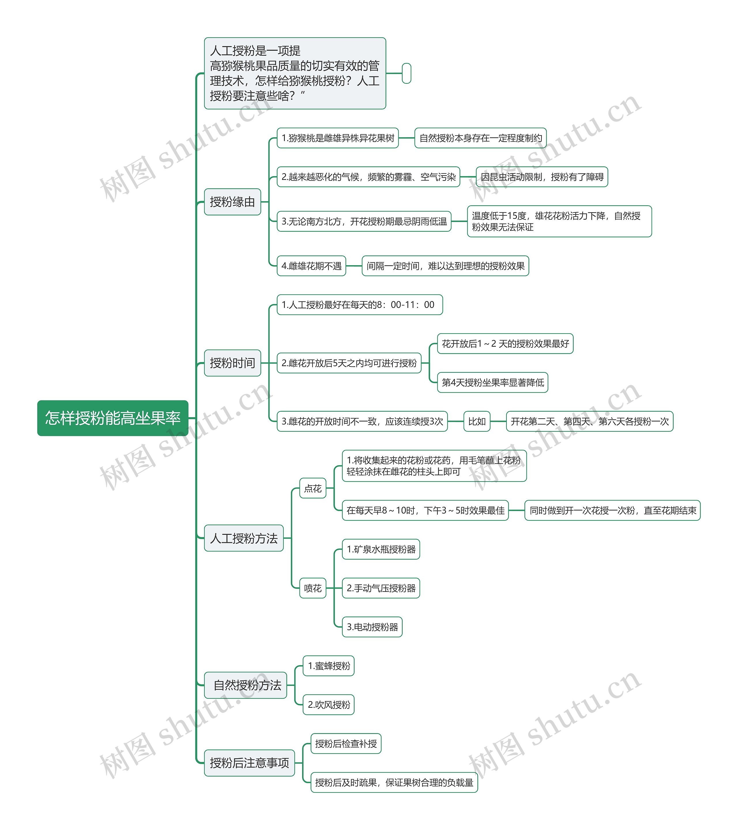 怎样授粉能高坐果率思维导图