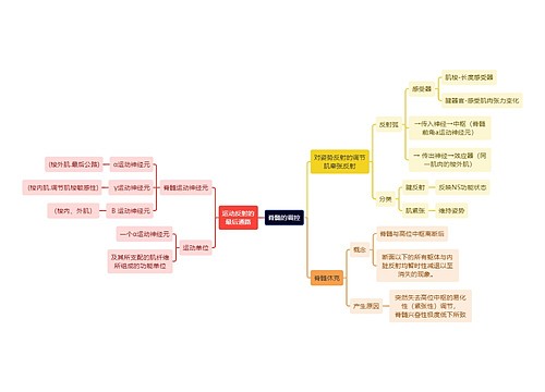 医学知识脊髓的调控思维导图