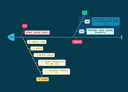 医学知识中药桂枝思维导图