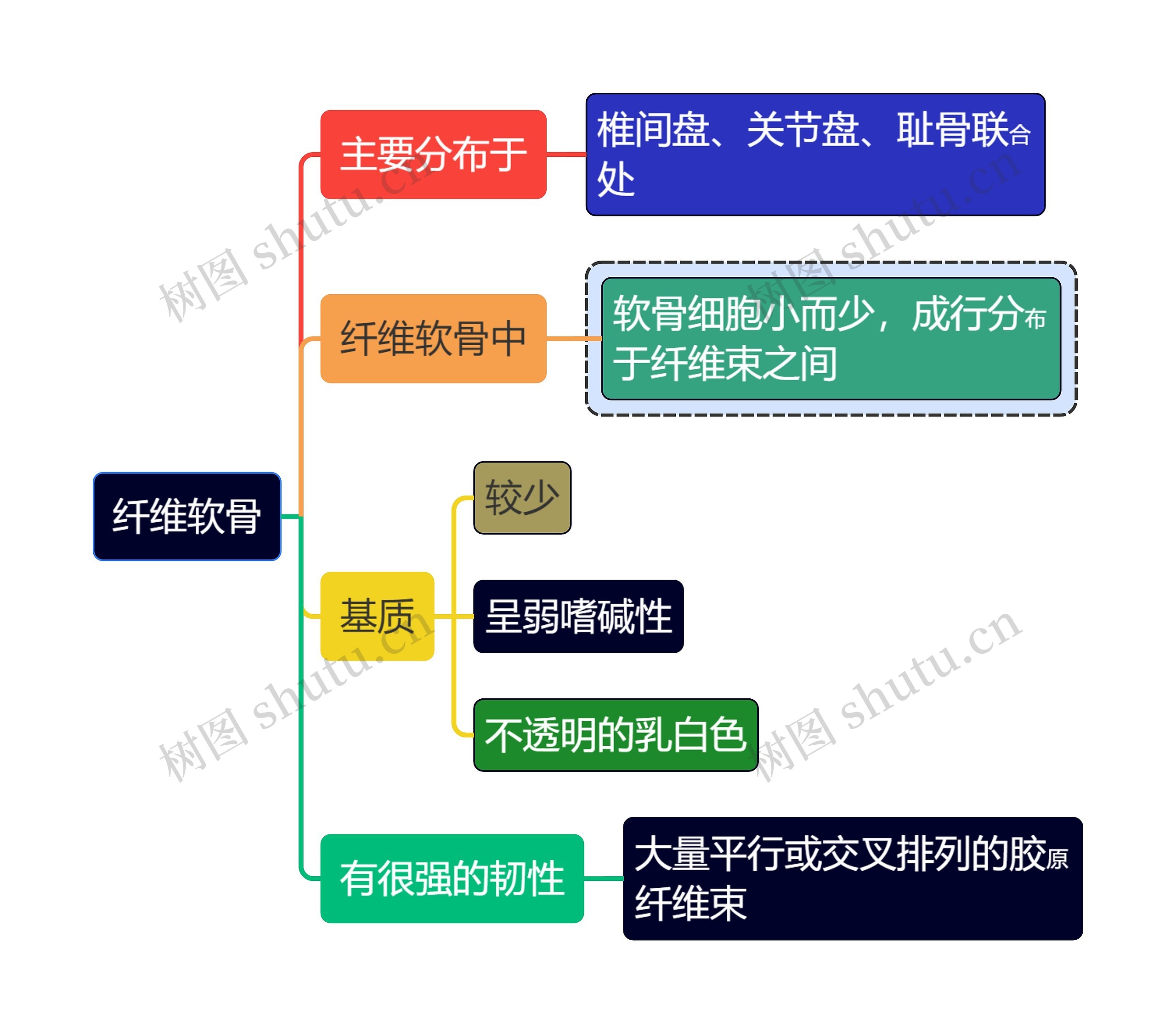 医学知识纤维软骨思维导图