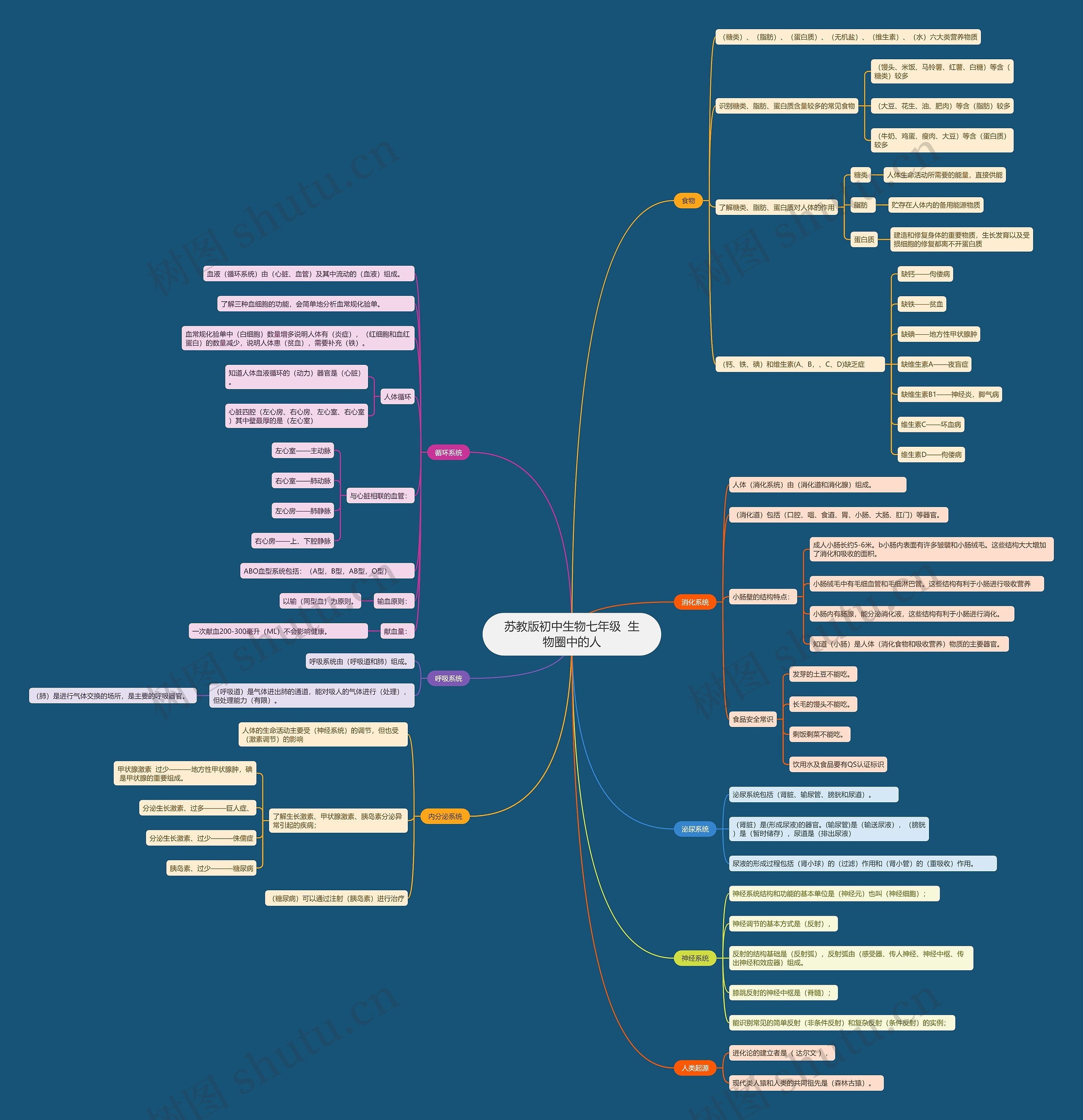 苏教版初中生物七年级  生物圈中的人思维导图
