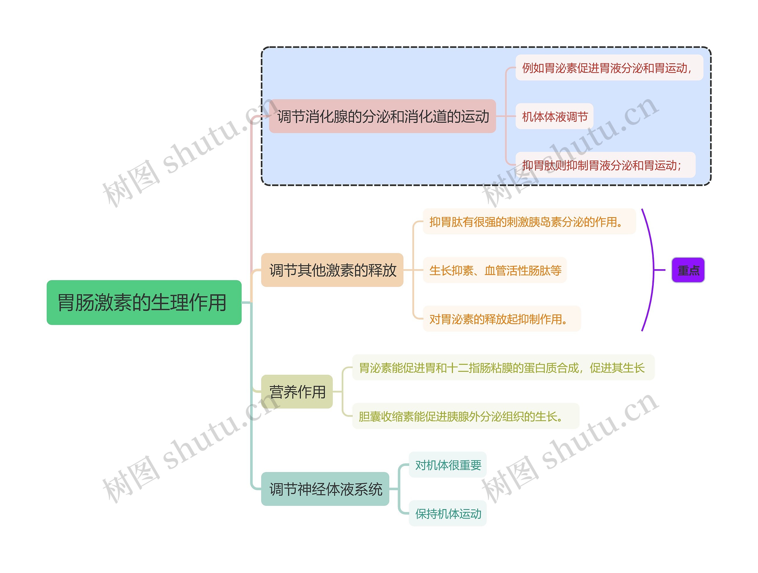 医学知识胃肠激素的生理作用思维导图