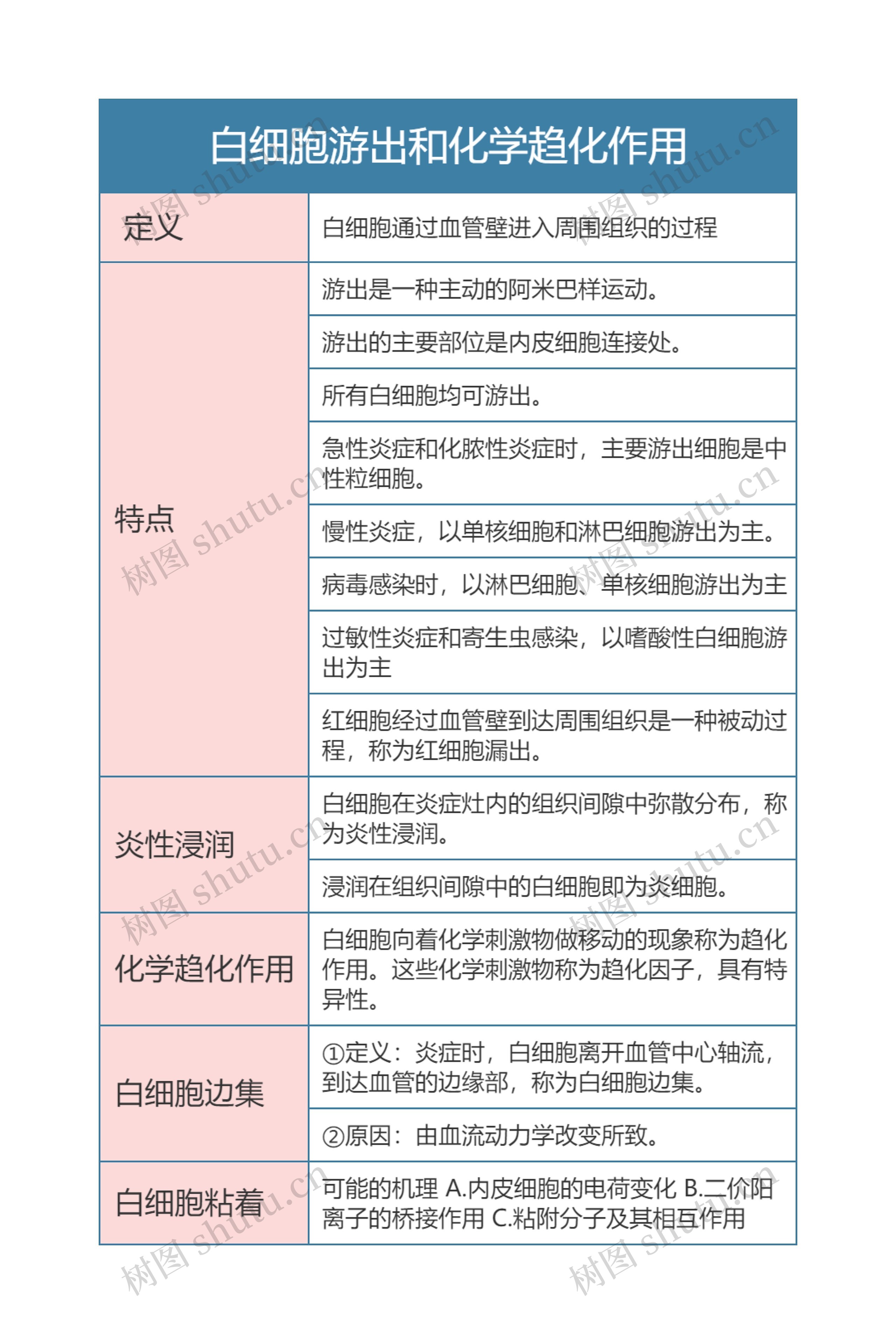 病理学  白细胞游出和化学趋化作用思维导图