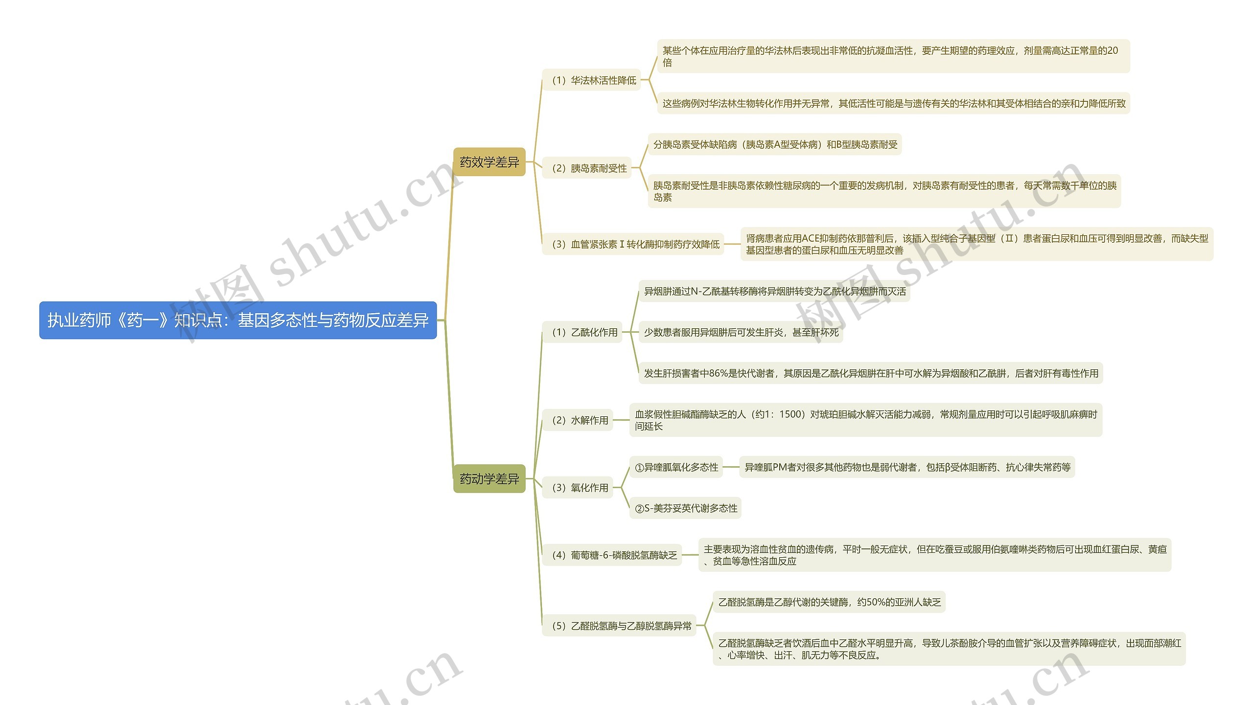 执业药师《药一》知识点：基因多态性与药物反应差异思维导图