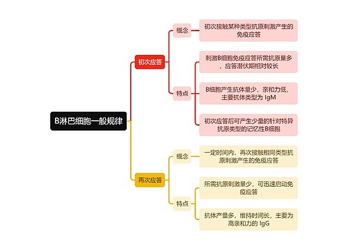 医学知识B淋巴细胞一般规律思维导图