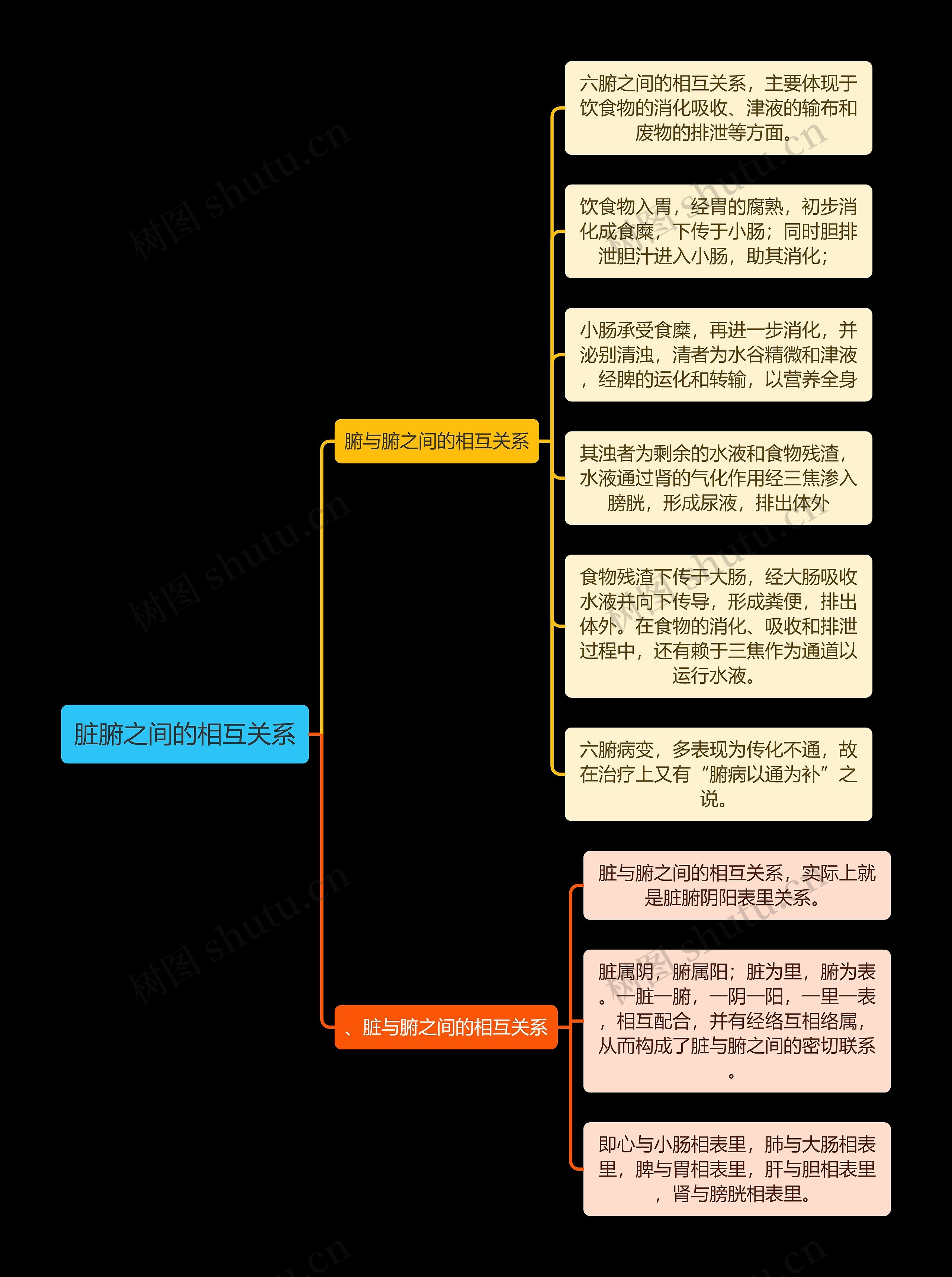 中医知识脏腑之间的相互关系思维导图