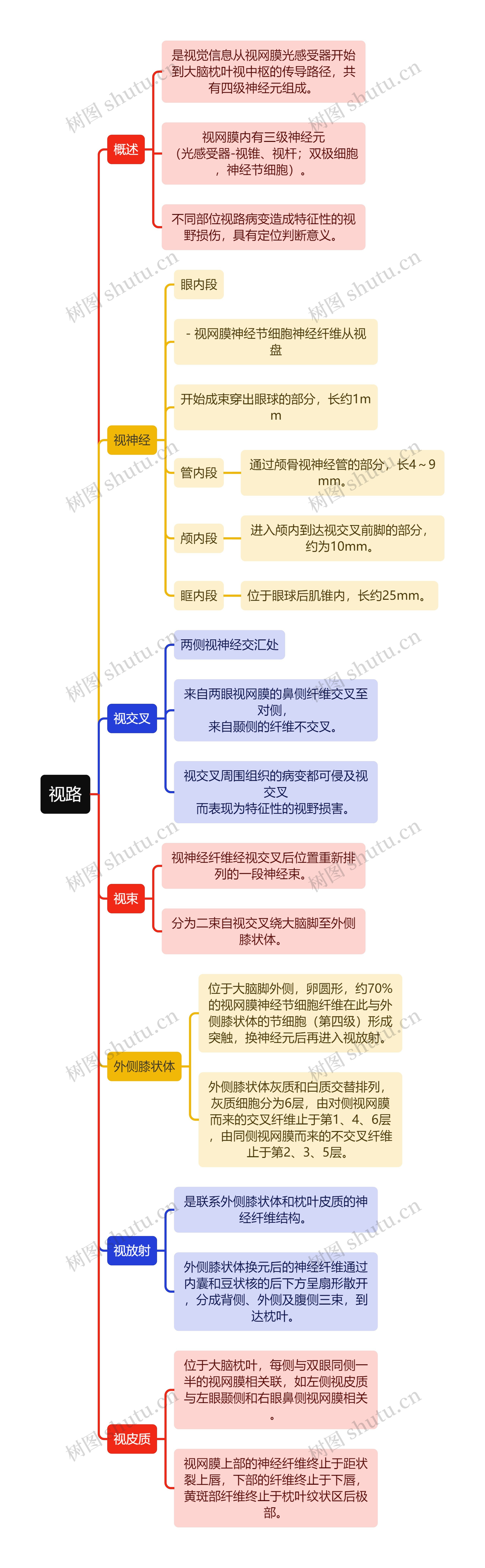 医学知识视路思维导图