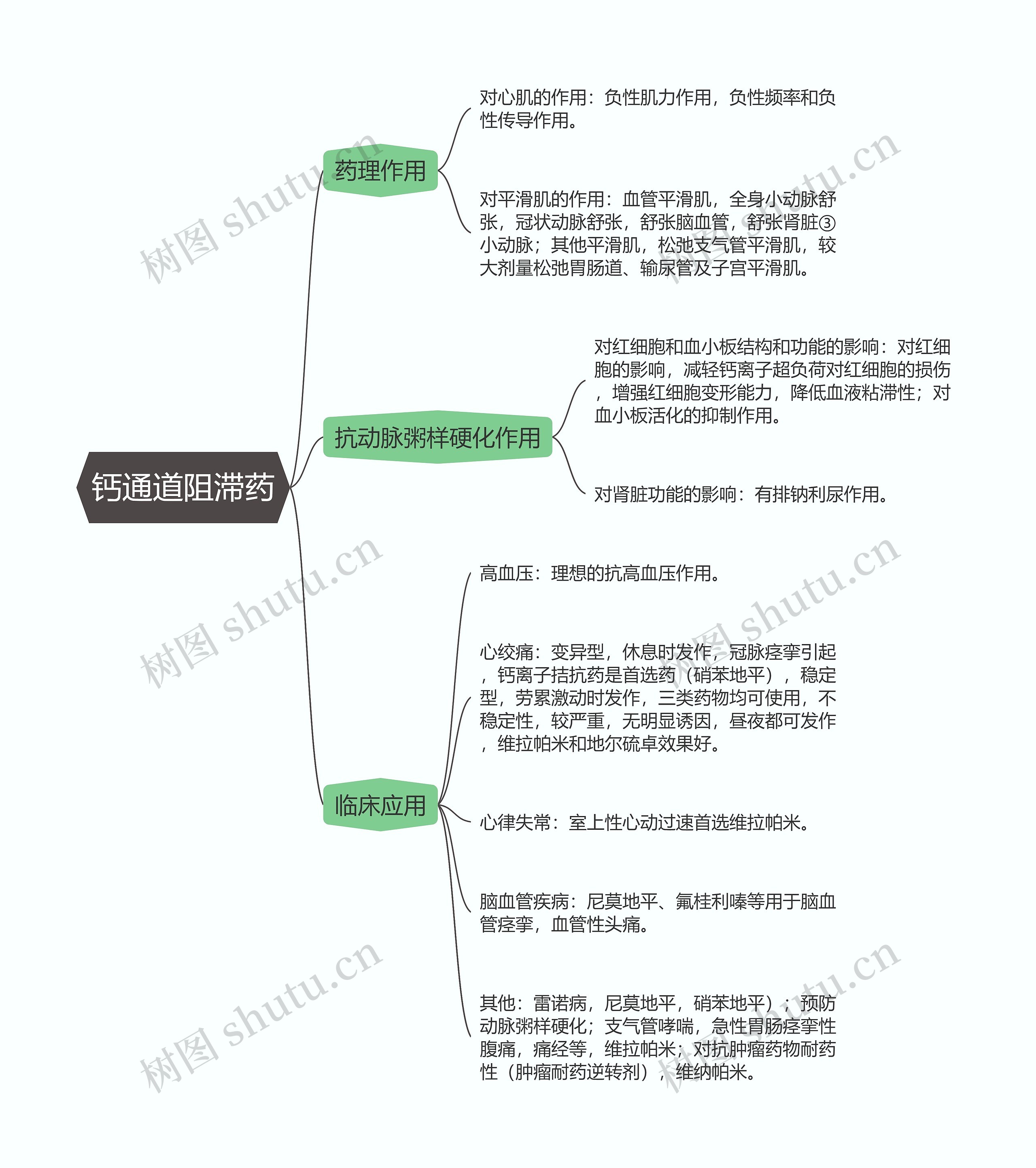 药理学  钙通道阻滞药思维导图