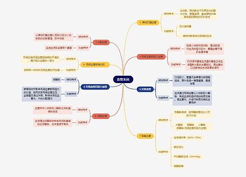 医学知识血管系统思维导图