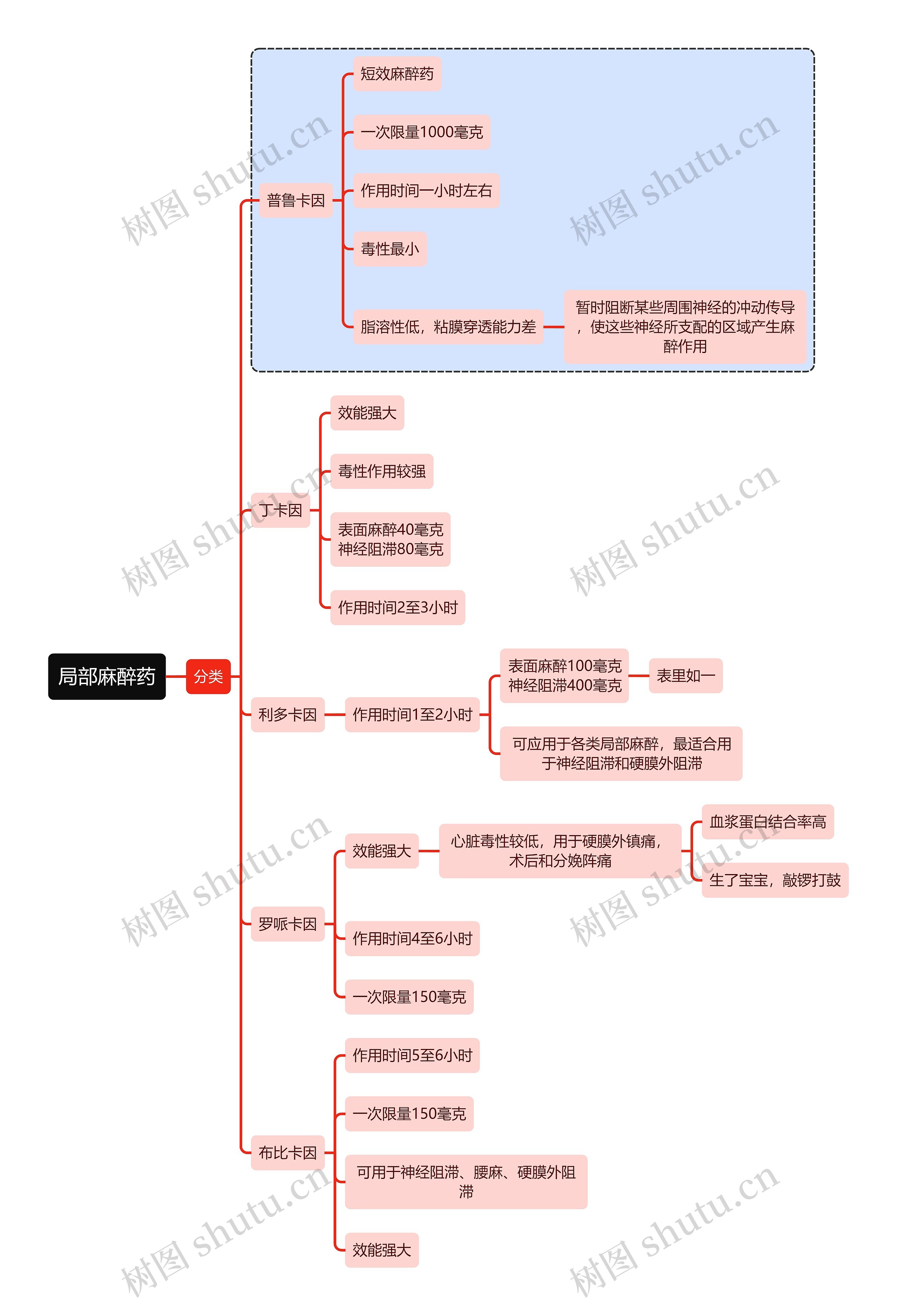 医学局部麻醉药思维导图