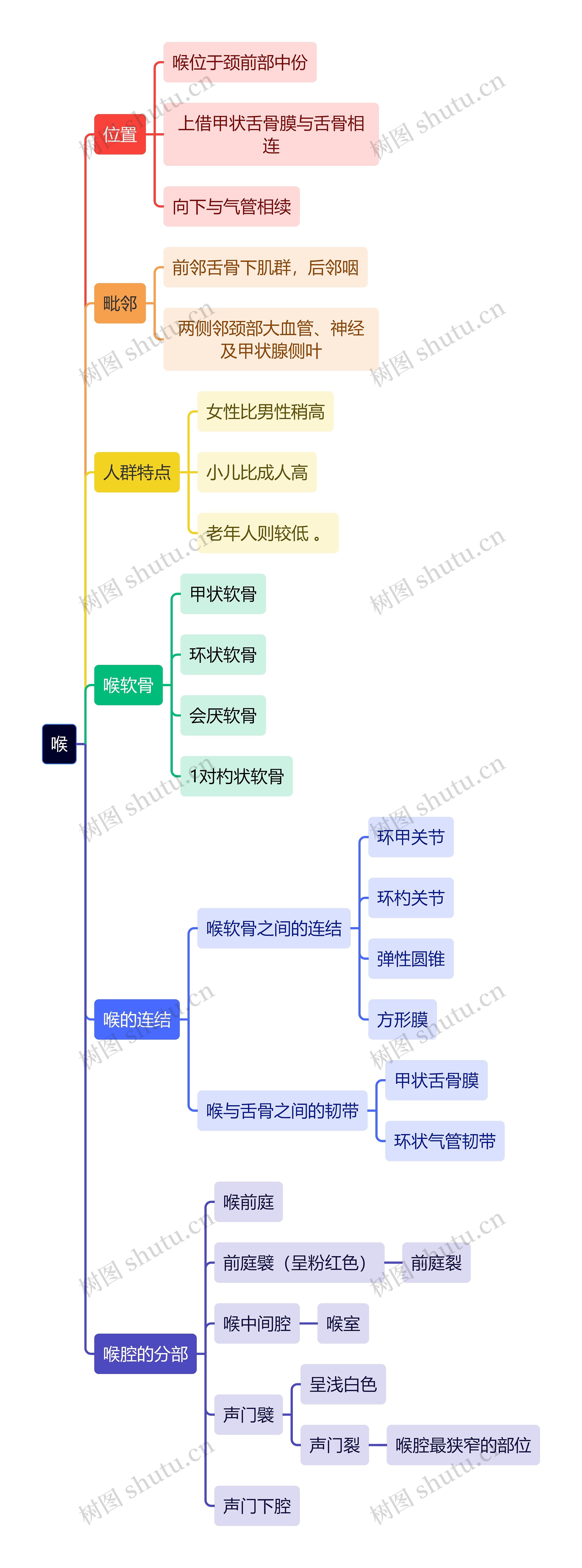 解剖学知识喉思维导图