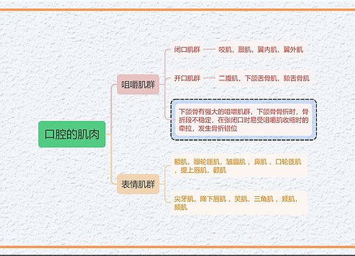 医学知识口腔的肌肉思维导图