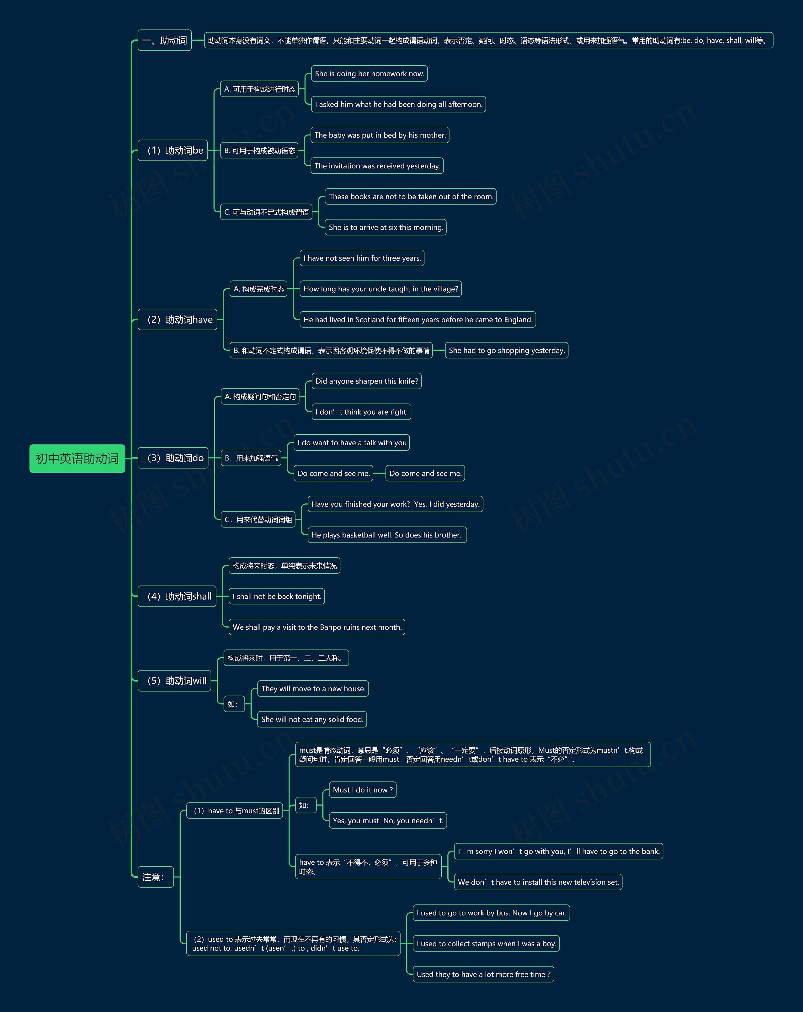 初中英语助动词思维导图