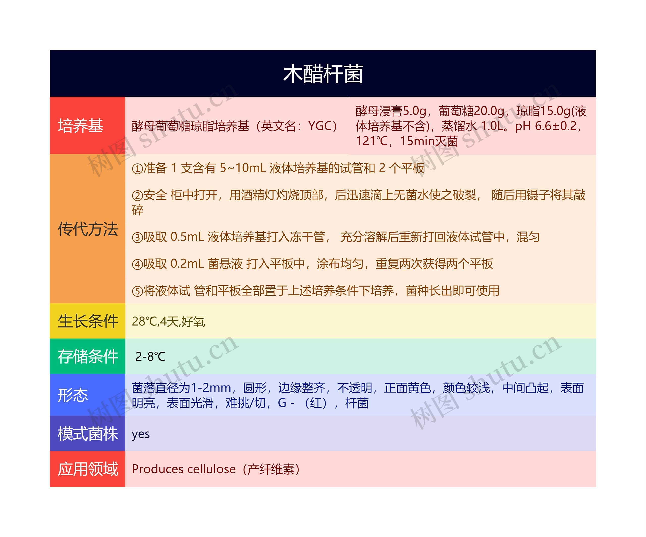 木醋杆菌思维导图