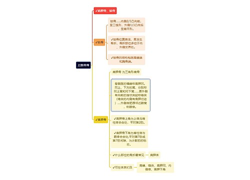 医学知识上肢带骨思维导图