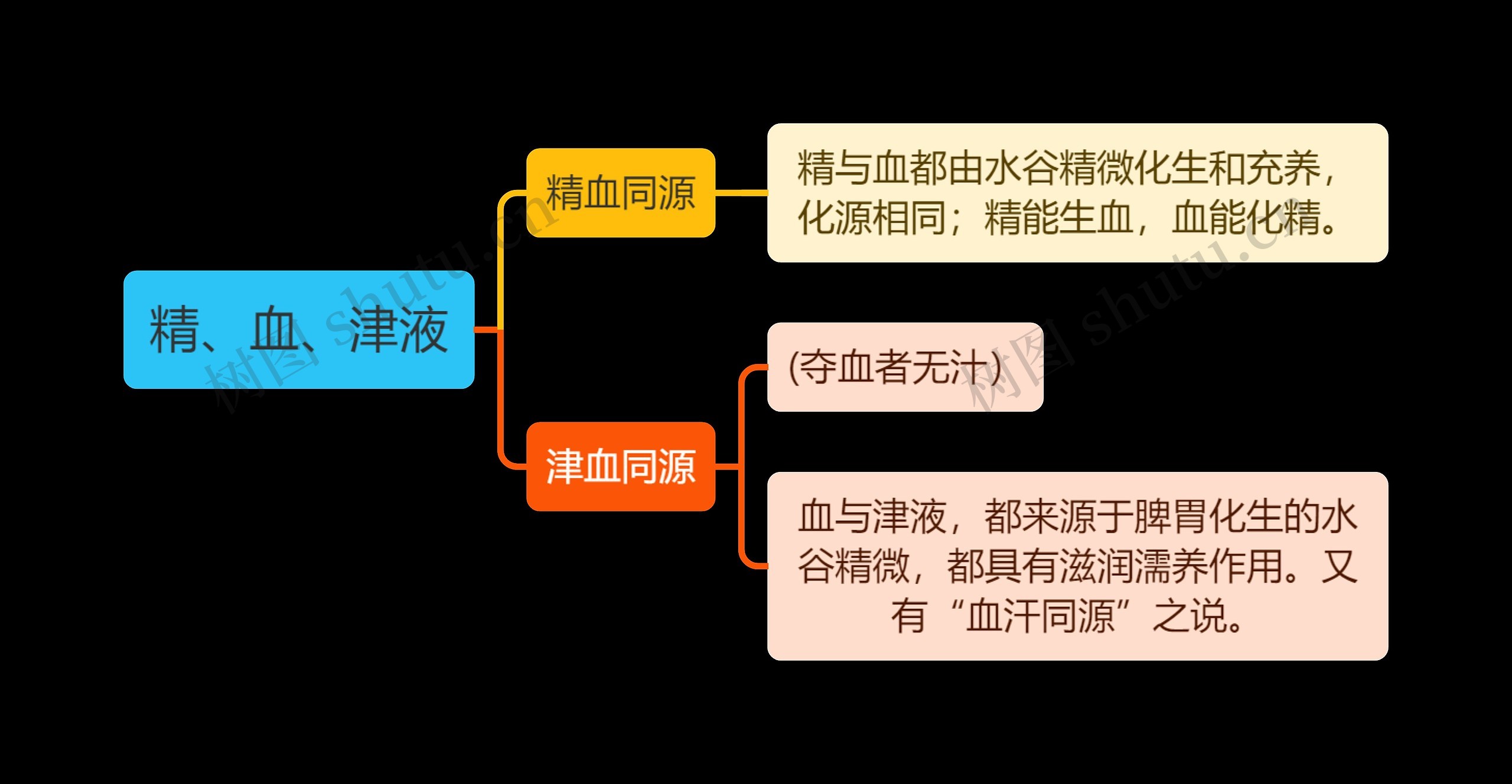 中医知识精、血、津液思维导图