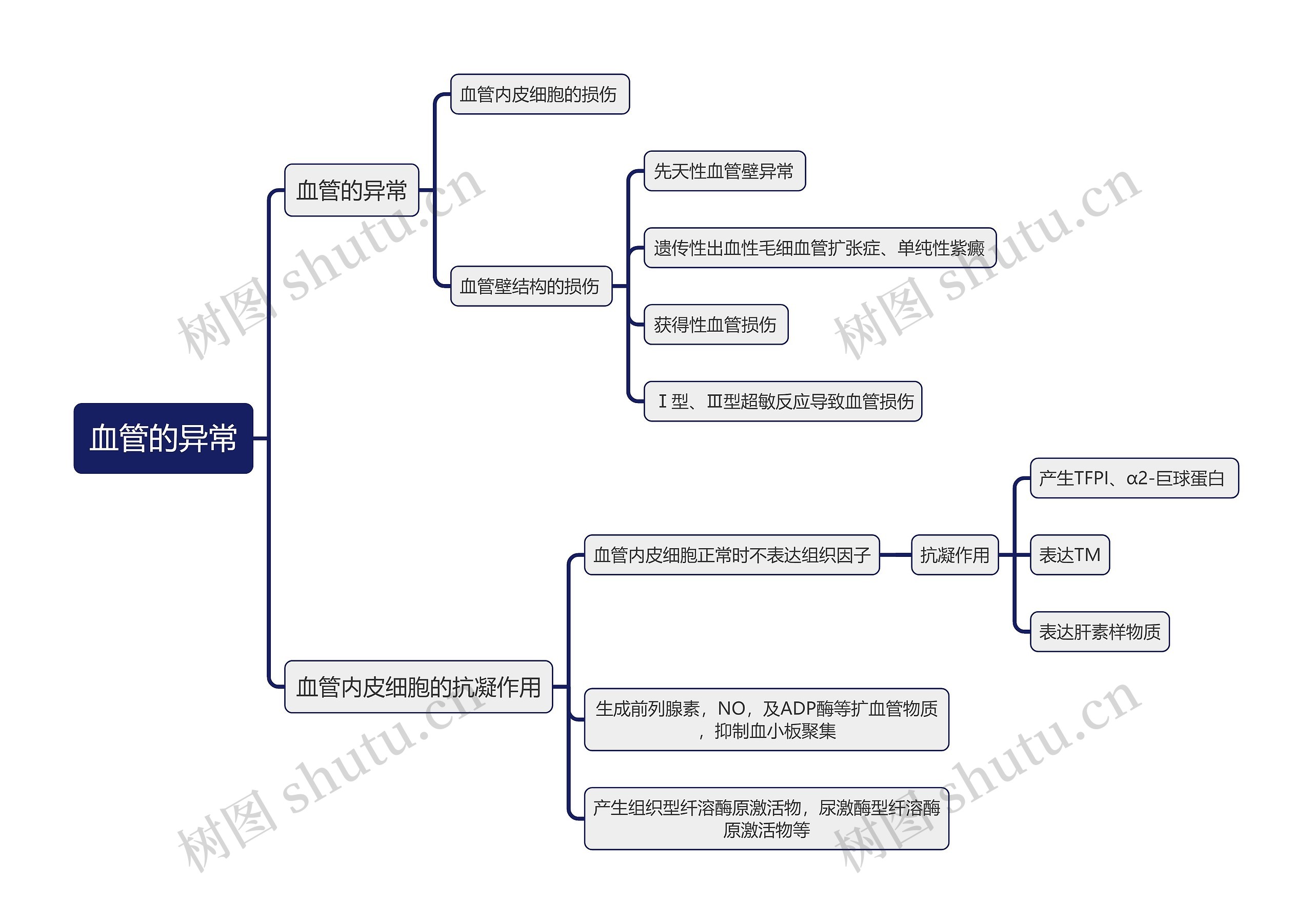 医学知识血管的异常思维导图