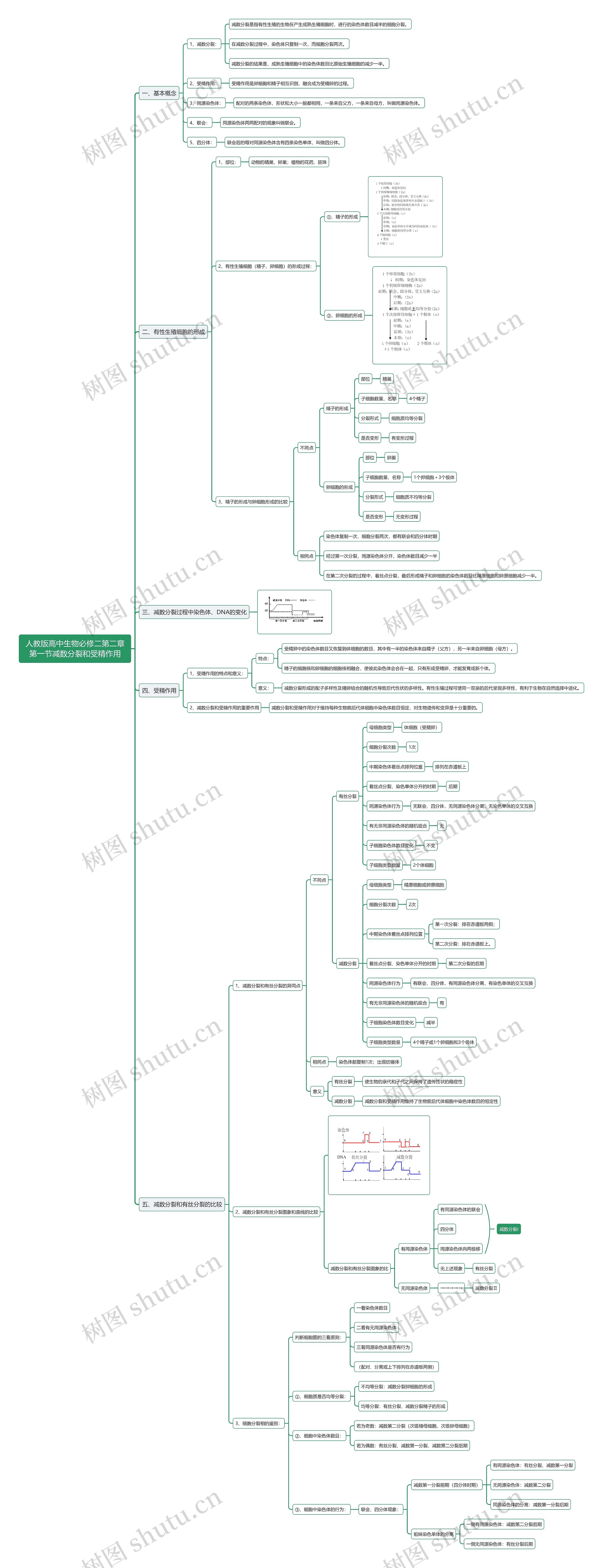 人教版高中生物必修二第二章第一节减数分裂和受精作用思维导图