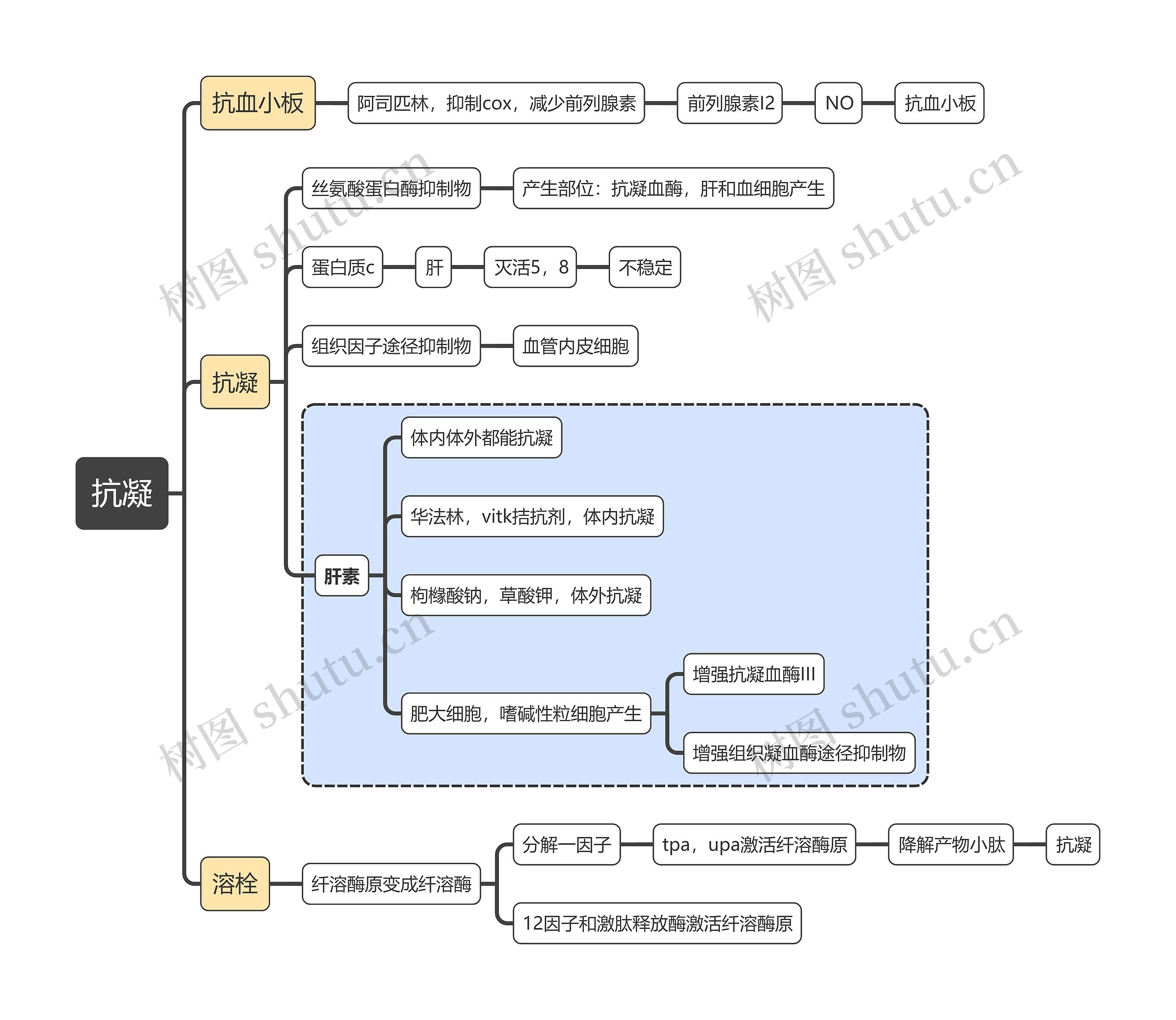 医学知识抗凝思维导图