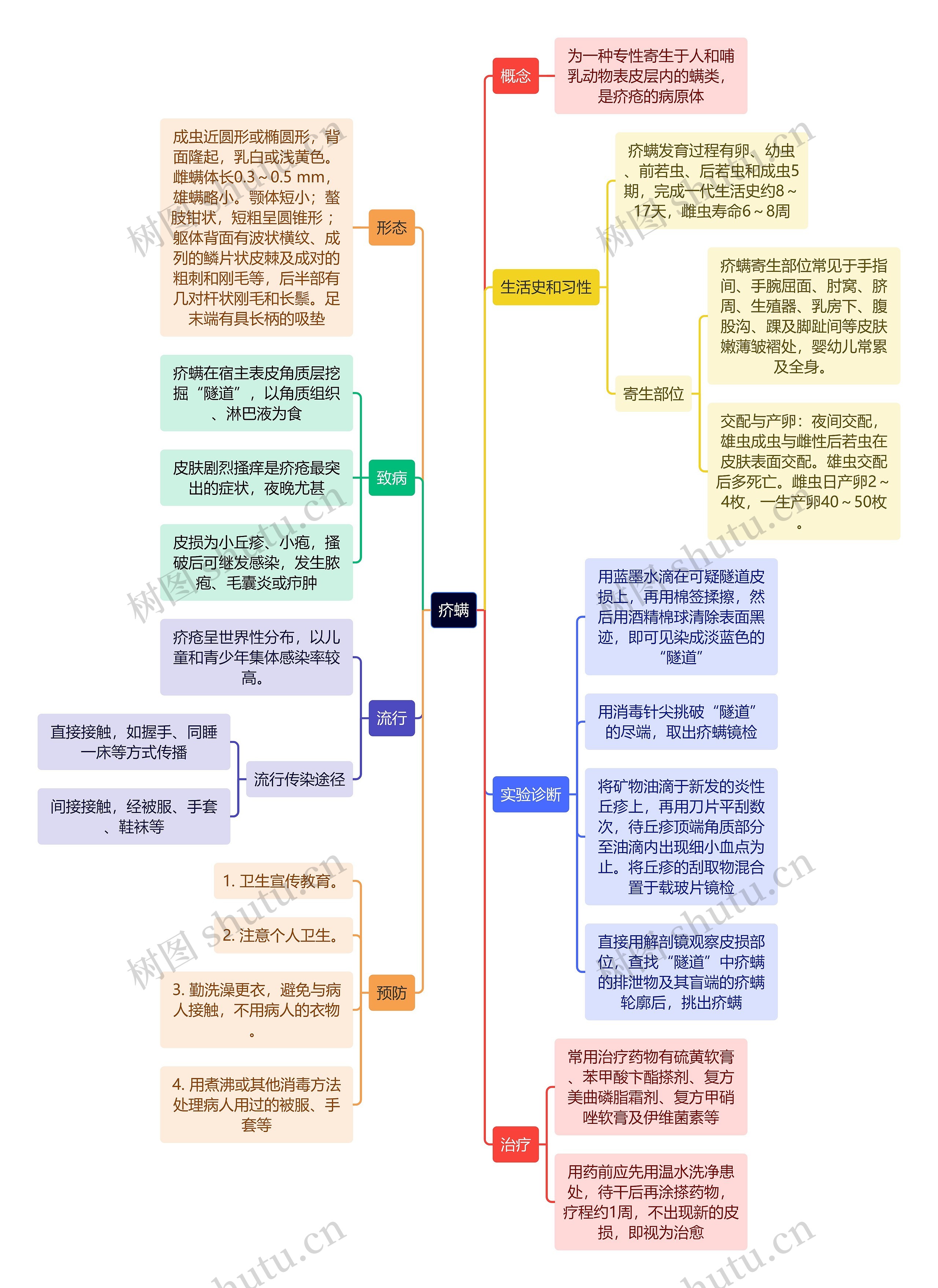 医学知识疥螨思维导图