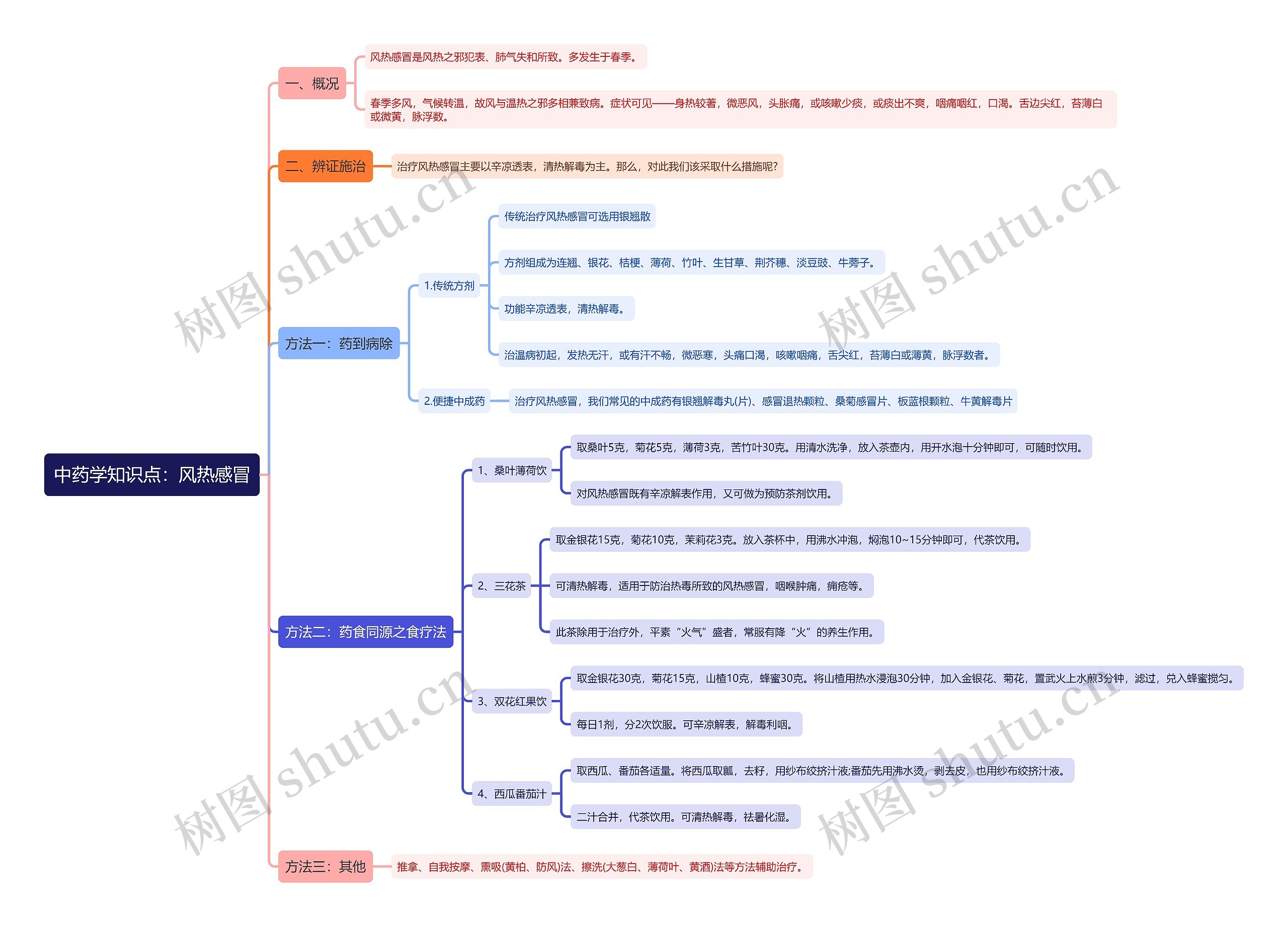 中药学知识点：风热感冒思维导图