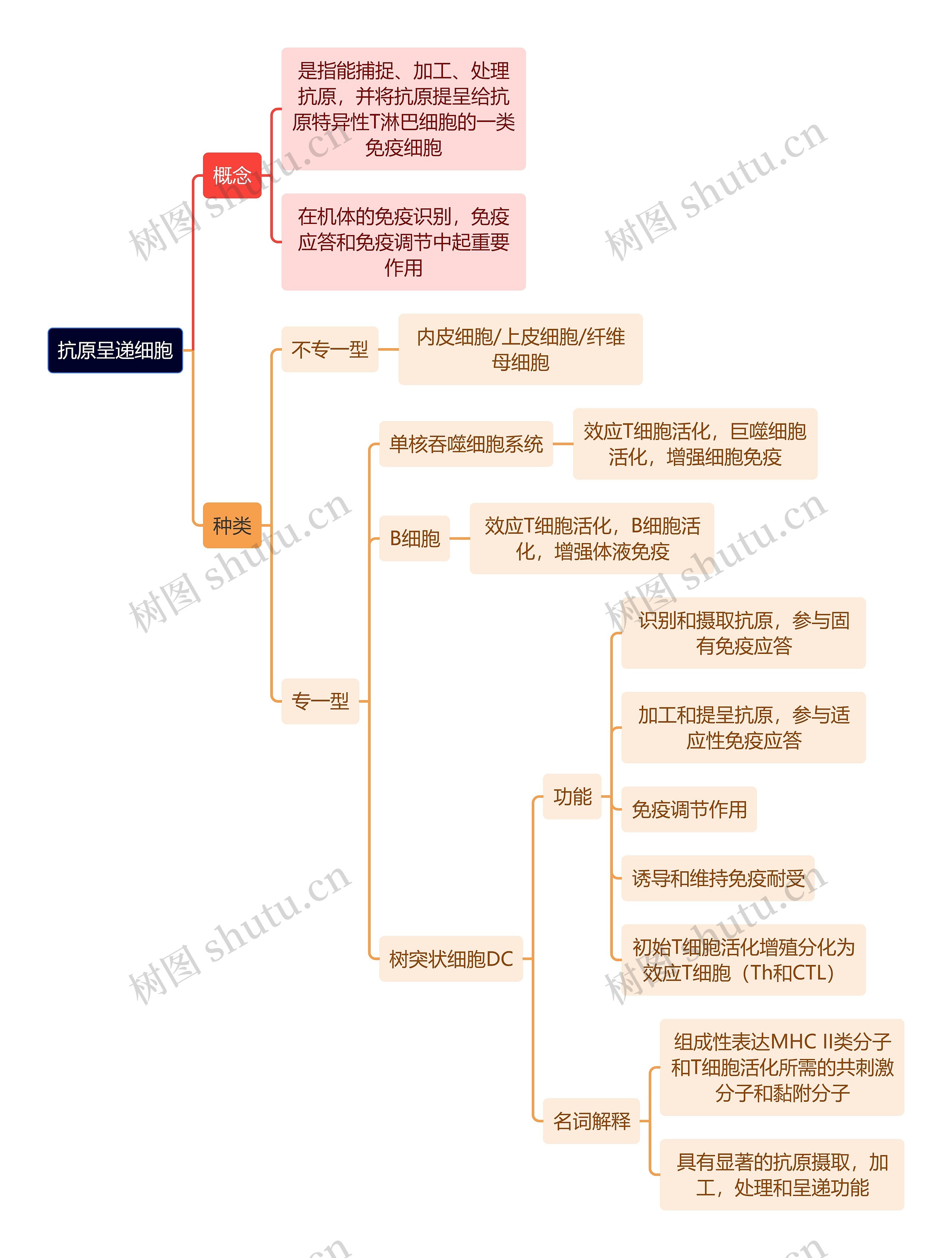 医学知识抗原呈递细胞思维导图