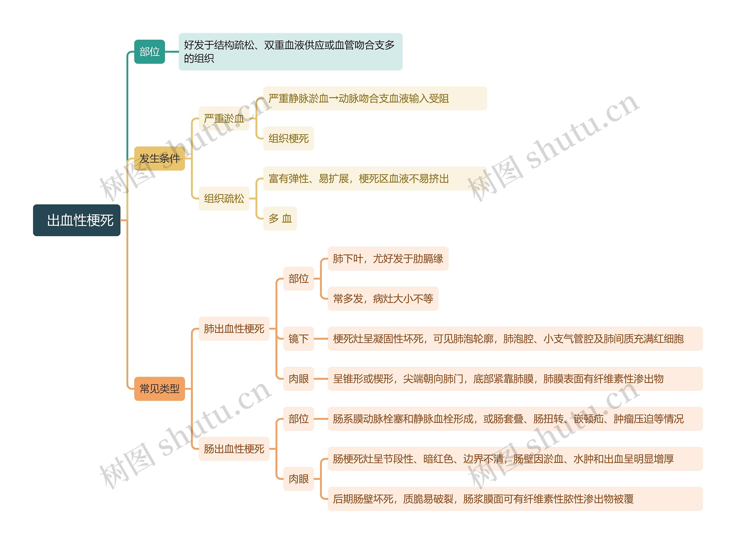 出血性梗死思维导图
