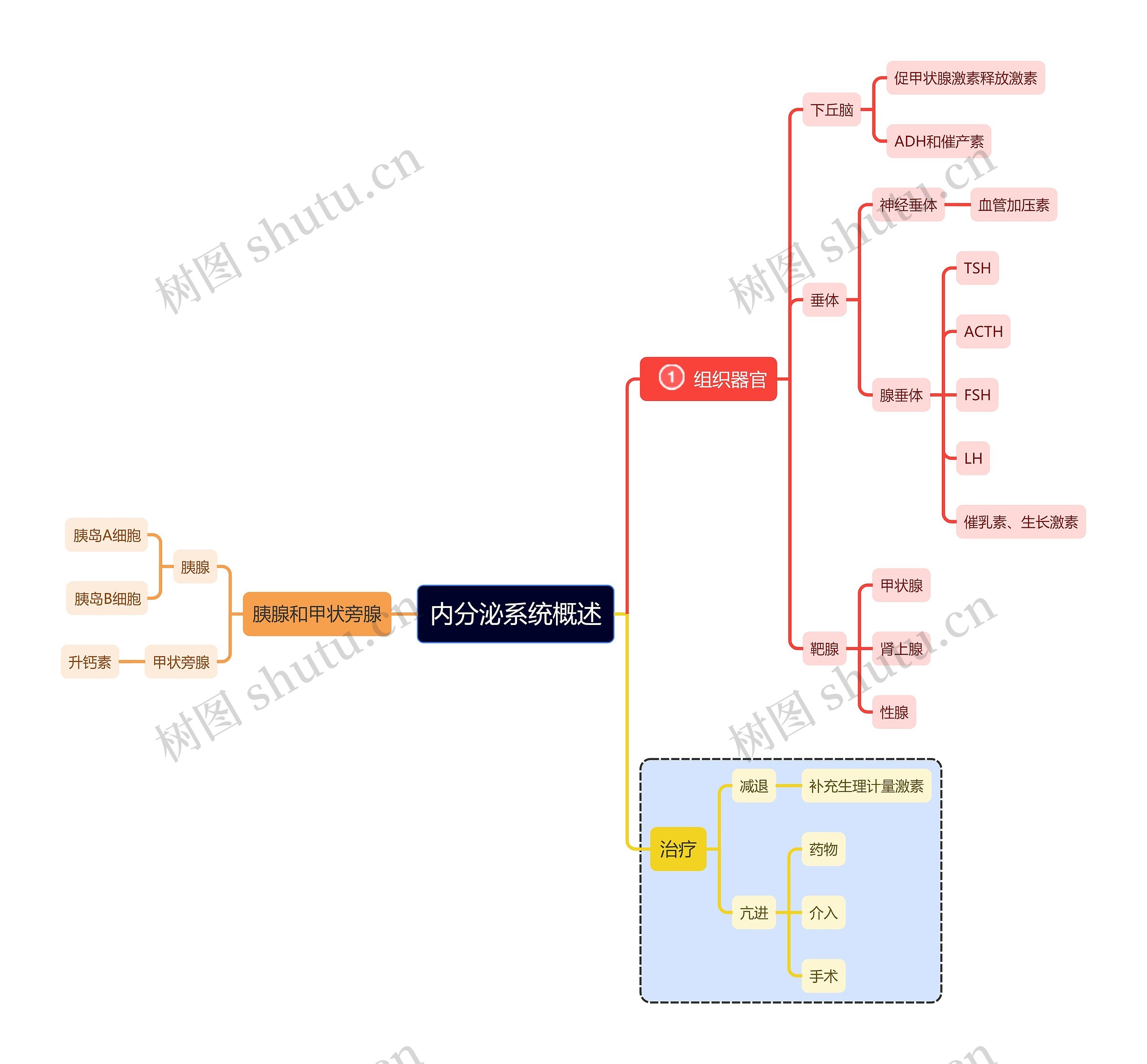 医学知识内分泌系统概述思维导图