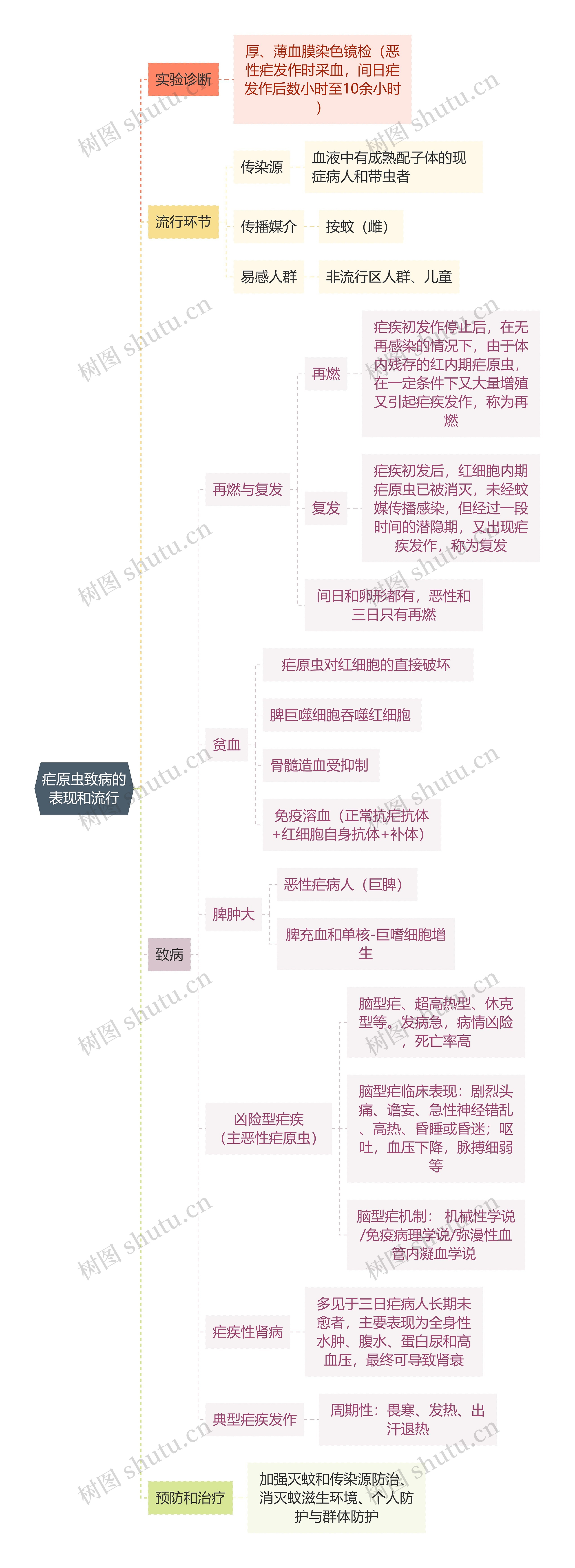 医学知识疟原虫致病的表现和流行思维导图