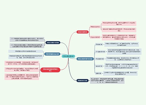 医学知识肝脏主要生理功能思维导图